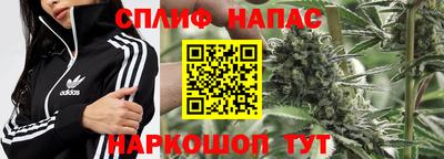 jwh Шебекино