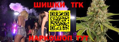 jwh Шебекино