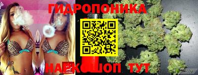 молекула духа Шахты