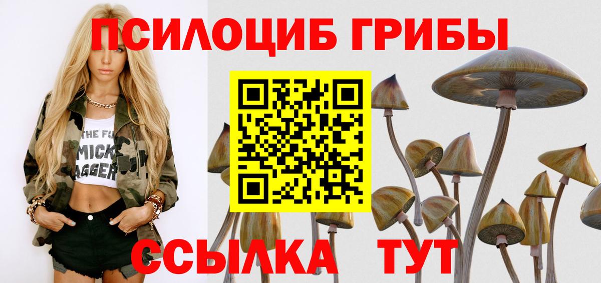 Псилоцибиновые грибы ЛСД Пенза